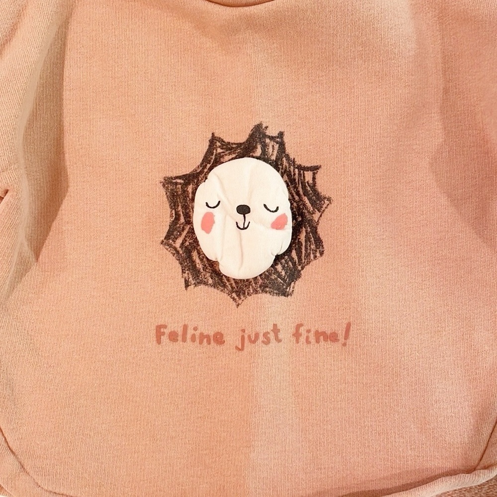 Zara 9-12m sweatshirt - Picture 2 of 5